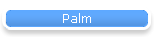 Palm